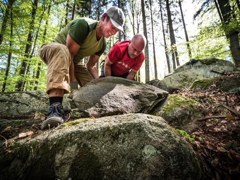 Trail Jestřáb Rychlebské stezky