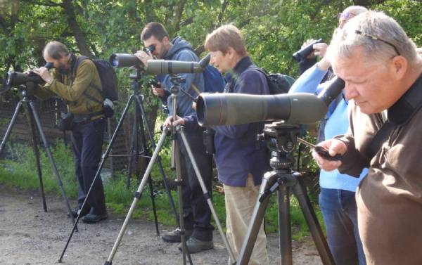 Vítání ptačího zpěvu a Festival ptactva 3